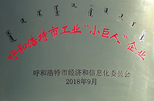 呼和浩特市工業(yè)“小巨人”企業(yè)