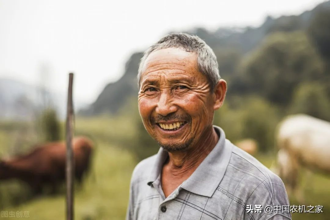 向日葵收割機(jī)